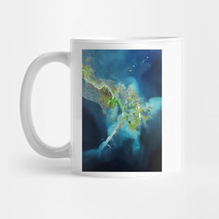 Mississippi Delta, satellite image (C007/1232) Mug